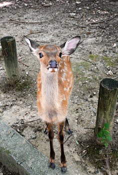 经济日报金观平：完善西部陆海新通道金融服务体系 新闻