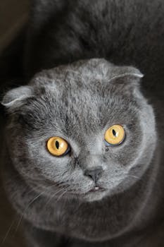 [理论观察]人工智能数字空间秩序的法律构建 新闻