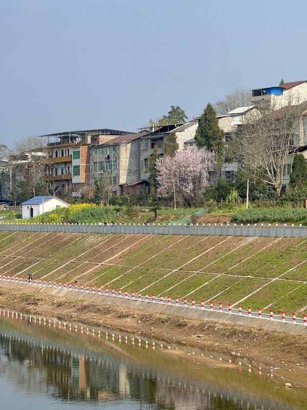  大家族里过年，一位年轻人的“两宗罪”｜记者过年_0227222816 新闻