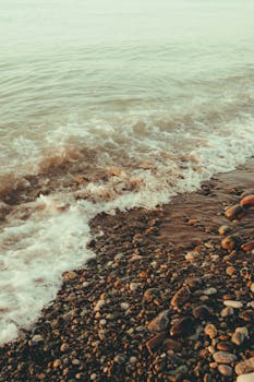 奋进十五五开局；经济大省勇挑重任；习近平总书记重要讲话指引前行方向