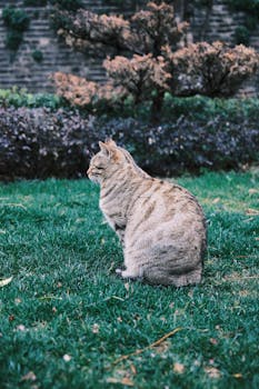  资本市场夜间动态汇总；多家企业战略布局加速。 股票财经 资本市场夜间动态汇总；多家企业战略布局加速。 股票财经