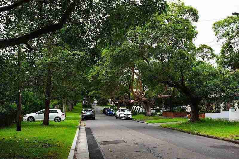 悉尼街道绿化影响房产价值;树木距离决定增值还是减价;研究揭示黄金区间。 房产家居