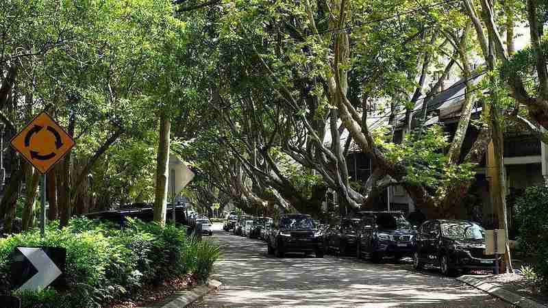 悉尼街道绿化影响房产价值；树木距离决定增值还是减价；研究揭示黄金区间。