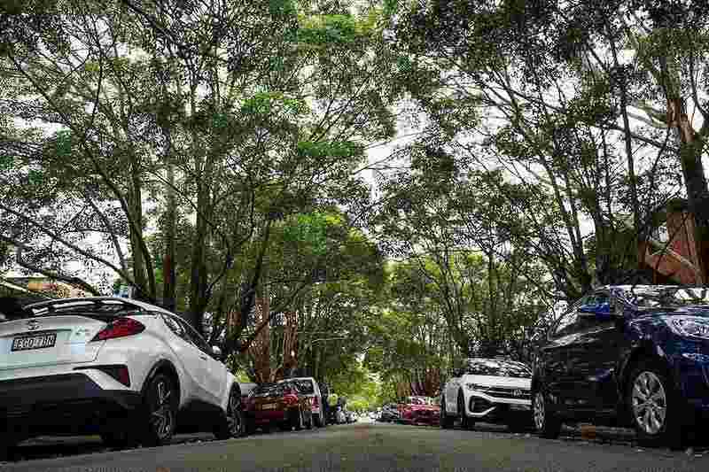 悉尼街道绿化影响房产价值;树木距离决定增值还是减价;研究揭示黄金区间。 房产家居