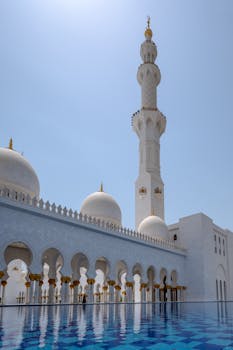  从0.26本增量看儿童阅读生态；深度融合才是关键路径。 教育招生