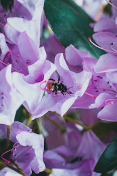 中东局势升级,能源市场动荡加剧;汽油成本面临显著压力。 股票财经 中东局势升级,能源市场动荡加剧;汽油成本面临显著压力。 股票财经 中东局势升级,能源市场动荡加剧;汽油成本面临显著压力。 股票财经