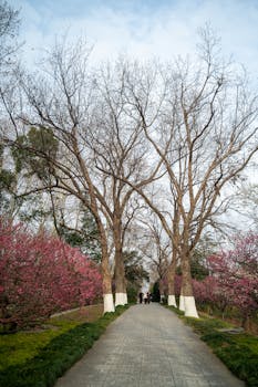  中朝铁路重启跨境之旅，北京平壤丹东平壤列车即将双向运行。 文化旅游
