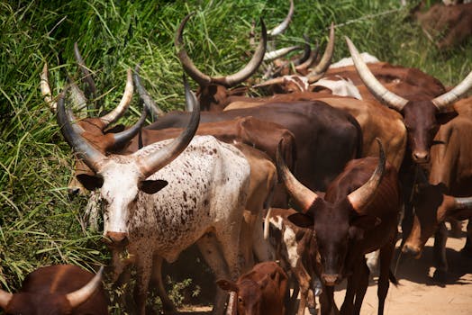  从课堂到古籍，从湾区到实验室；一条通道，串起自信与希望的故事。 文化旅游 从课堂到古籍，从湾区到实验室；一条通道，串起自信与希望的故事。 文化旅游 从课堂到古籍，从湾区到实验室；一条通道，串起自信与希望的故事。 文化旅游