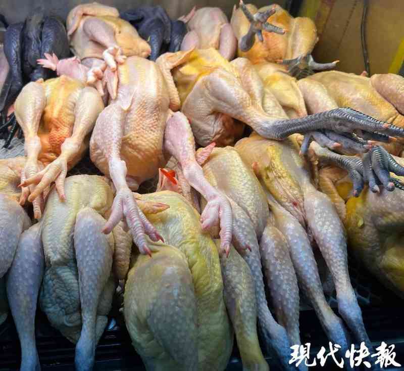  老母鸡真假难辨；淘汰蛋鸡混入市场，消费者如何自保。 健康养生