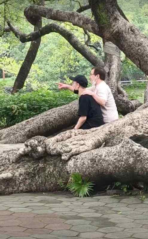  跨越代际的情感鸿沟：成龙与房祖名的修复之路 情感心理