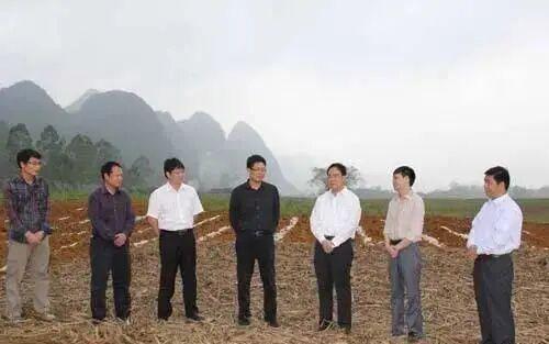 【职场心理学】从肢体语言解码权力关系：前背手与后背手的深层逻辑