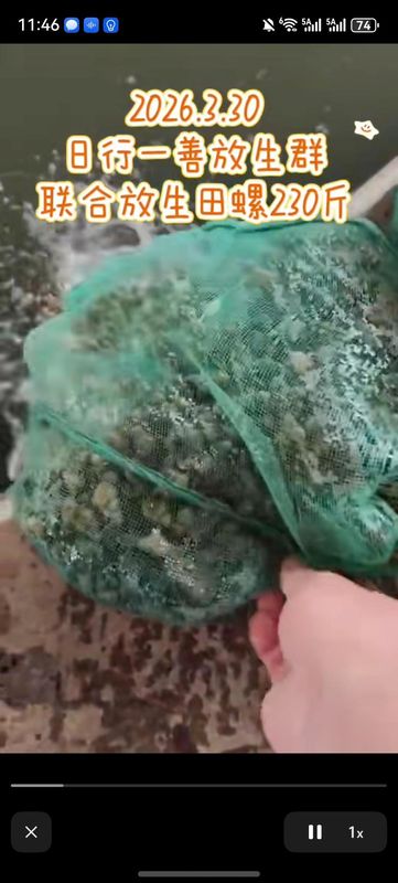  技术视角下的“功德”交易：直播间放生产业链的生态风险深度剖析 新闻