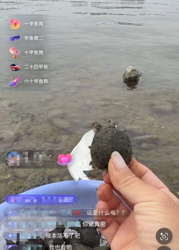  技术视角下的“功德”交易：直播间放生产业链的生态风险深度剖析 新闻