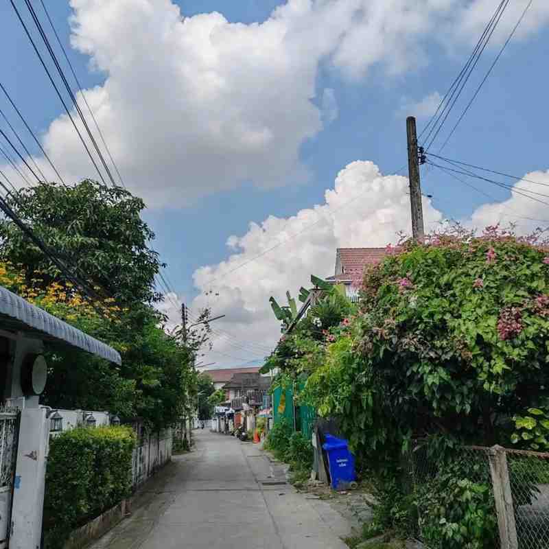 曼谷365天：一位产品经理用数据拆解泰国生活的真实成本