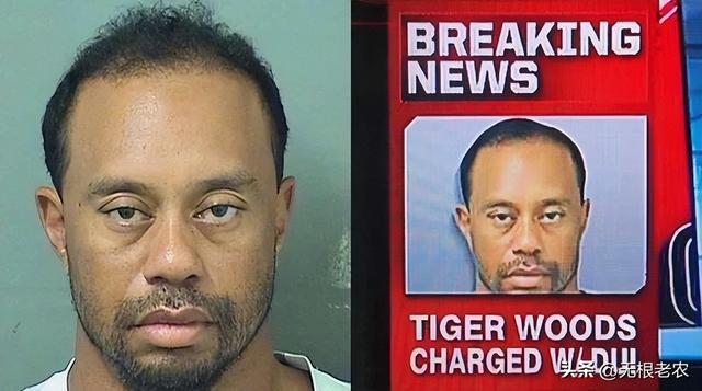  从球场传奇到法治标本：泰格·伍兹涉毒驾事件的技术复盘与制度启示 体育新闻