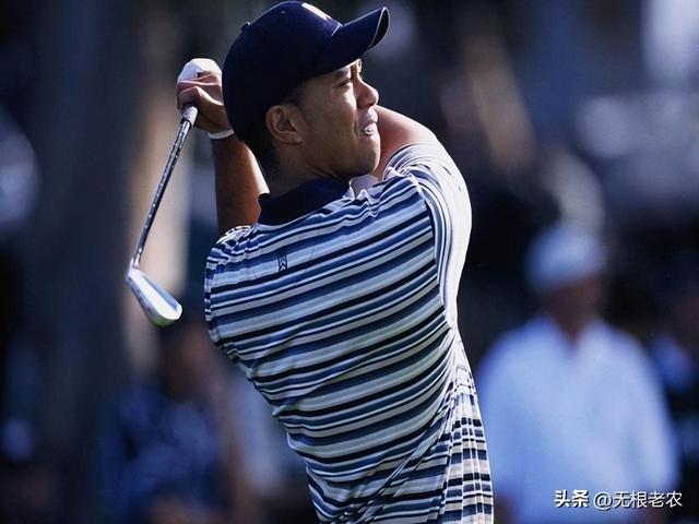  从球场传奇到法治标本：泰格·伍兹涉毒驾事件的技术复盘与制度启示 体育新闻