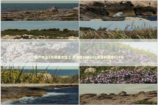 国产车企2月销量太猛了 奇瑞出口破600万吉利暴增138% 新闻