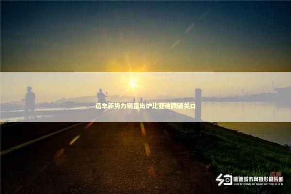 造车新势力销量出炉比亚迪跌破关口 新闻