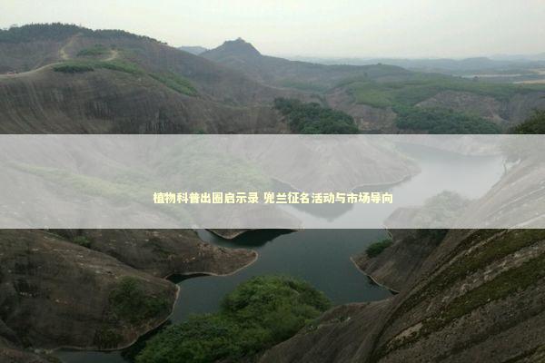 植物科普出圈启示录 兜兰征名活动与市场导向 植物科普出圈启示录 兜兰征名活动与市场导向 新闻