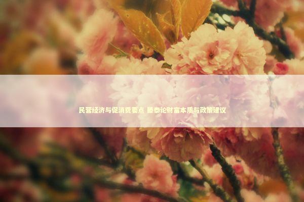 民营经济与促消费要点 滕泰论财富本质与政策建议 新闻