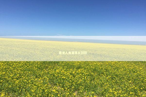 君龙人寿董事长辞职