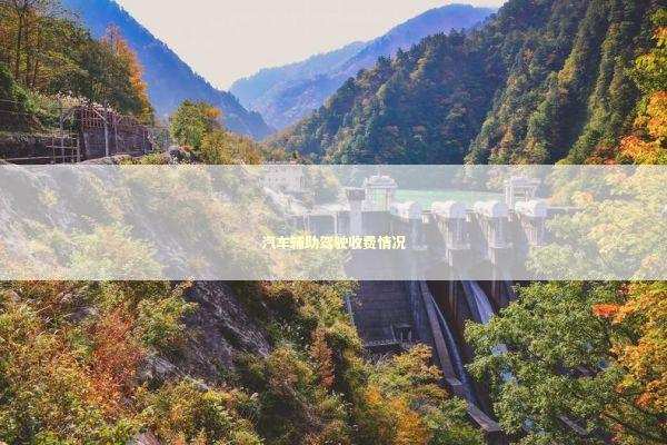 汽车辅助驾驶收费情况 新闻