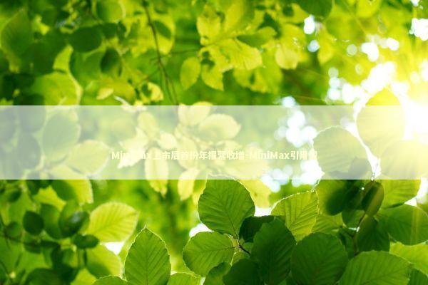 MiniMax上市后首份年报营收增-MiniMax引用型 新闻