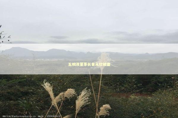 五粮液董事长曾从钦被查 新闻