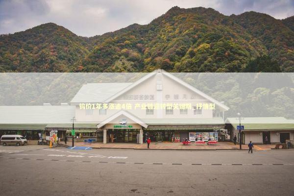 钨价1年多涨逾4倍 产业链迎转型关键期_抒情型 新闻