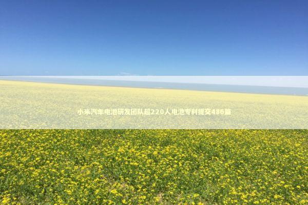 小米汽车电池研发团队超220人电池专利提交486篇 新闻