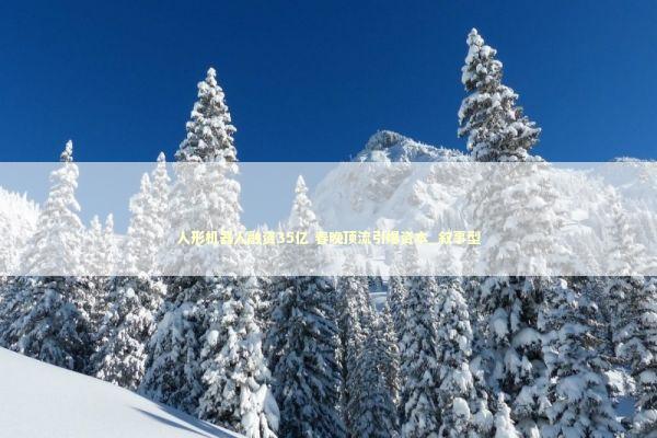 人形机器人融资35亿 春晚顶流引爆资本_叙事型 人形机器人融资35亿 春晚顶流引爆资本_叙事型 新闻