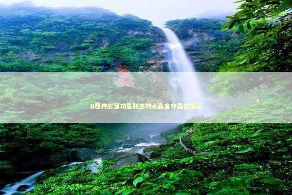 B费传射建功曼联逆转水晶宫夺最佳球员 新闻