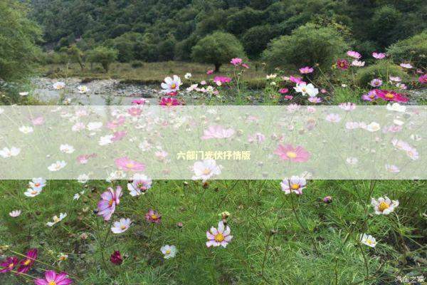 六部门光伏抒情版 新闻