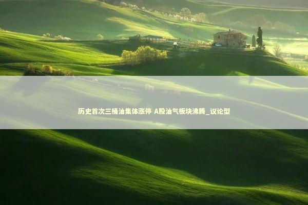 历史首次三桶油集体涨停 A股油气板块沸腾_议论型 新闻