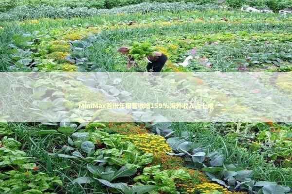 MiniMax首份年报营收增159%海外收入占七成 新闻