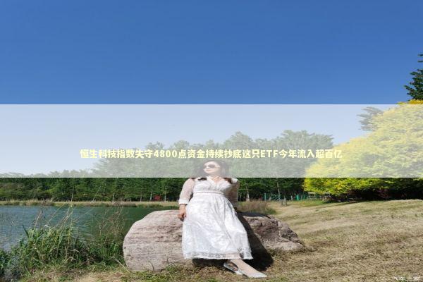 恒生科技指数失守4800点资金持续抄底这只ETF今年流入超百亿 新闻