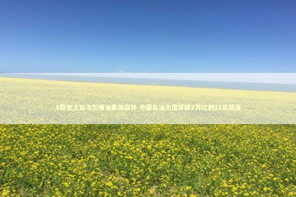 A股史上首次三桶油集体涨停 中国石油市值突破2万亿创11年新高 新闻