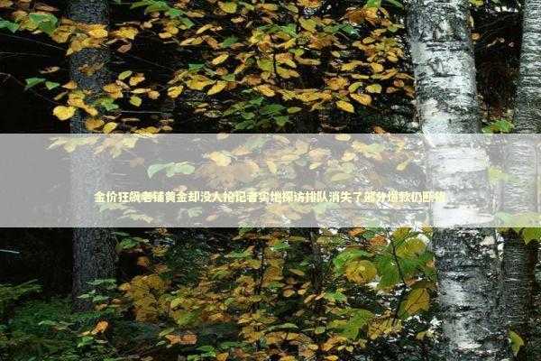 金价狂飙老铺黄金却没人抢记者实地探访排队消失了部分爆款仍断货 新闻