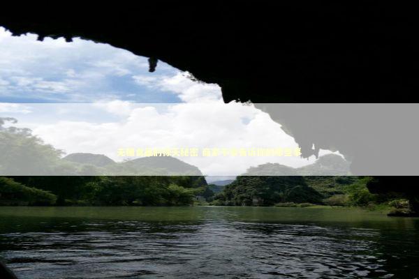 无糖食品的惊天秘密 商家不会告诉你的那些事 新闻