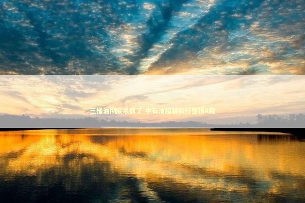 三桶油彻底杀疯了 中石油超越农行登顶A股 新闻