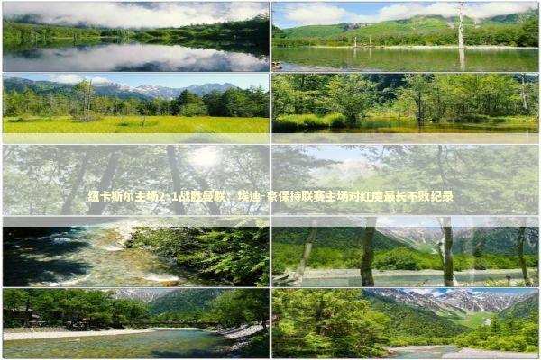 纽卡斯尔主场2-1战胜曼联：埃迪-豪保持联赛主场对红魔最长不败纪录 新闻