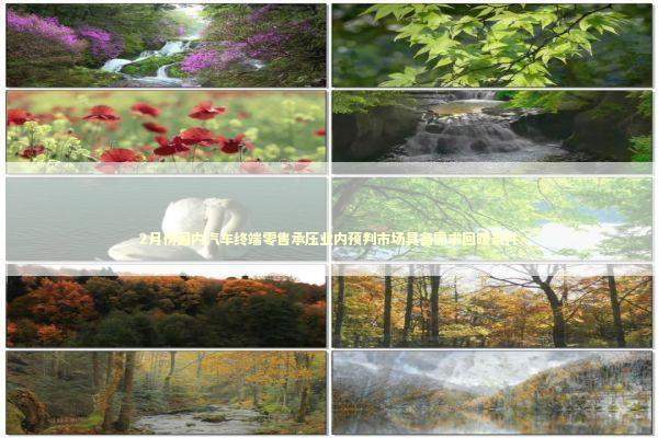 2月份国内汽车终端零售承压业内预判市场具备需求回暖条件