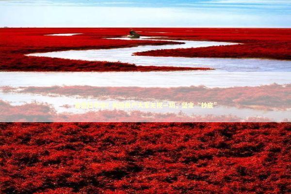 富贵险中求？美股散户大军无视一切，坚定“抄底” 新闻