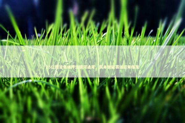 25亿国资集体押注银河通用：具身智能赛道迎来爆发 新闻