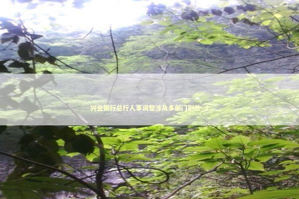 兴业银行总行人事调整涉及多部门副总_2 新闻