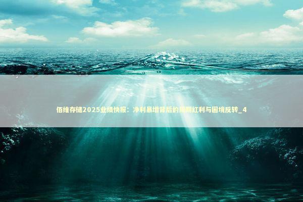 佰维存储2025业绩快报：净利暴增背后的周期红利与困境反转_4 新闻