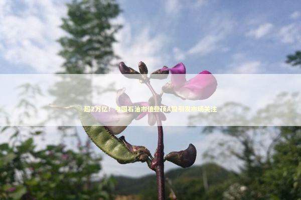 超2万亿！中国石油市值登顶A股引发市场关注 新闻