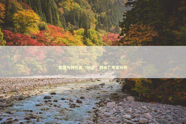 美国为何热衷“斩首”战术？专家分析