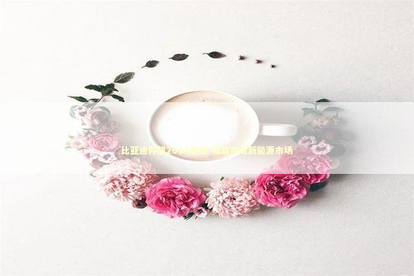 比亚迪仰望2026旗舰 称霸高端新能源市场 新闻