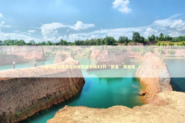 春节后公募发行快速回暖本周43只“新基”将亮相_2 新闻